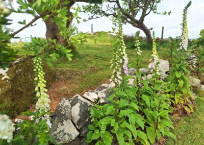 cuachcottage-115
